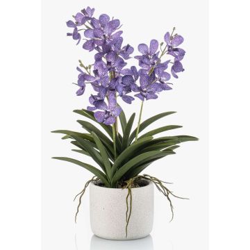 Orchidea artificiale Vanda PAVRA in vaso di ceramica, radici, viola-bianco, 60 cm