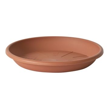 Sottopiantiera rotonda VENERA in plastica riciclata, con fori, terracotta, 4 cm, Ø 24 cm