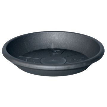 Sottopiantiera rotonda DONIKA in plastica, con fori, antracite, 8 cm, Ø 64 cm