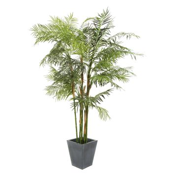 Palma di areca artificiale OLESSA, 280cm