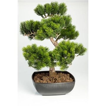 Pino bonsai di plastica SHADIA, con radici, ciotola, verde, 50cm Pino bonsai di plastica SHADIA, con radici, ciotola, verde, 50cm
