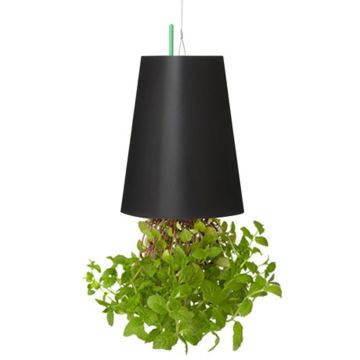 Pianta artificiale di menta LEVONT in vaso decorativo, verde, 13cm, Ø9,5cm Pianta artificiale di menta LEVONT in vaso decorativo, verde, 13cm, Ø9,5cm
