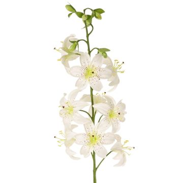 Giglio artificiale LABRICKA, bianco-giallo, 100 cm, Ø 9 cm Giglio artificiale LABRICKA, bianco-giallo, 100 cm, Ø 9 cm