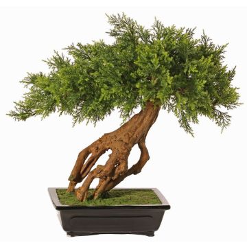Ginepro bonsai artificiale LORITIS in vaso di pietra, 55cm Ginepro bonsai artificiale LORITIS in vaso di pietra, 55cm