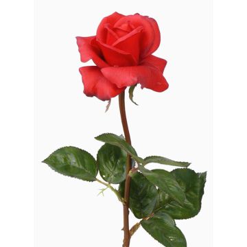 Rosa finta AMELIE, rosso, 70cm, Ø8cm Rosa finta AMELIE, rosso, 70cm, Ø8cm