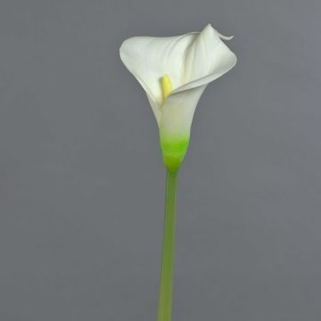 Calla artificiale MIRAC, color crema, 75 cm, 13x15 cm