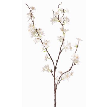 Ramo di melo sintetico LOUISA, con fiori, crema-bianco, 85cm