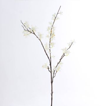 Ramo di melo sintetico LOUISA, con fiori, crema-bianco, 85cm