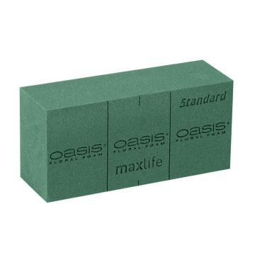 OASIS® Standard Maxlife Materiale umido per fiori secchi con linee di taglio, verde, 23x11x7,5 cm