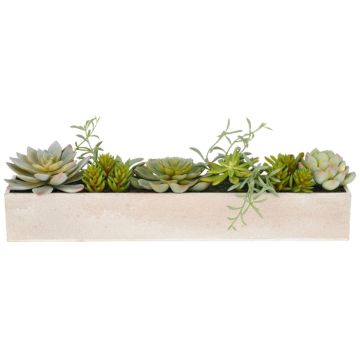 Composizione di piante grasse artificiali MINTENA in fioriera di plastica, verde, 40x8x10 cm