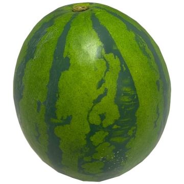 Frutta decorativa anguria BERCA, verde, Ø 15 cm Frutta decorativa anguria BERCA, verde, Ø 15 cm