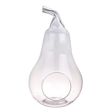 Terrario per piante YVIE a forma di pera, vetro, trasparente, 31cm, Ø17cm