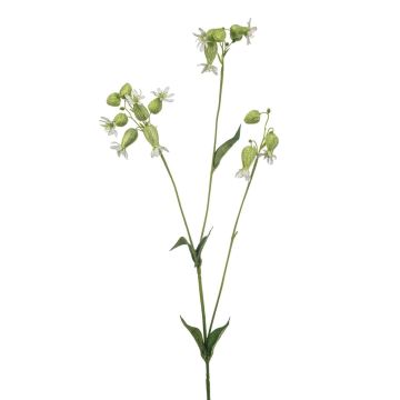 Ramo artificiale silene PRANVERA con fiori, bianco-verde, 80 cm