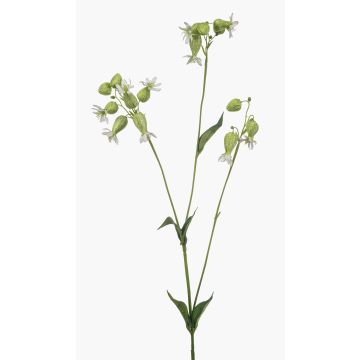 Ramo artificiale silene PRANVERA con fiori, bianco-verde, 80 cm