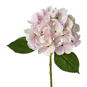 Fiore artificiale ortensia KLUVT, rosa, 50 cm