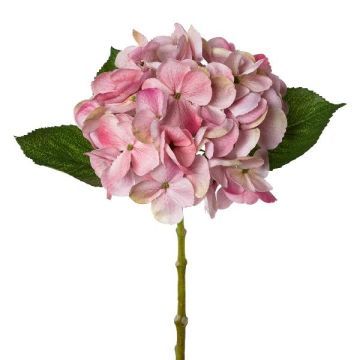 Fiore artificiale ortensia KLUVT, rosa antico, 50 cm