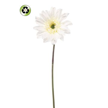 Gerbera artificiale FRALWE, Eco Collection, bianca, 65 cm, Ø 13 cm Gerbera artificiale FRALWE, Eco Collection, bianca, 65 cm, Ø 13 cm