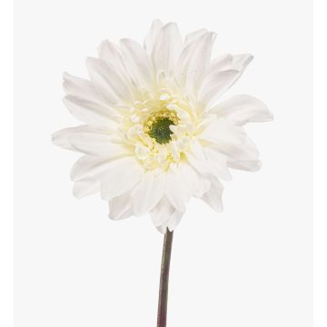 Gerbera artificiale FRALWE, Eco Collection, bianca, 65 cm, Ø 13 cm Gerbera artificiale FRALWE, Eco Collection, bianca, 65 cm, Ø 13 cm