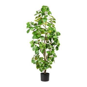 Albero artificiale Eucalipto MISNE, tronco artificiale, verde, 120 cm Albero artificiale Eucalipto MISNE, tronco artificiale, verde, 120 cm