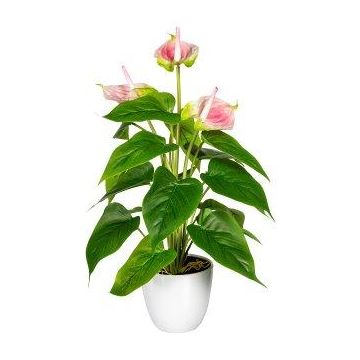 Fiore artificiale Fiammingo PLOVIR in vaso decorativo, radici, rosa, 40 cm