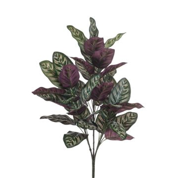 Pianta artificiale Calathea makoyana TROGAR su bastone, verde-viola, 70 cm
