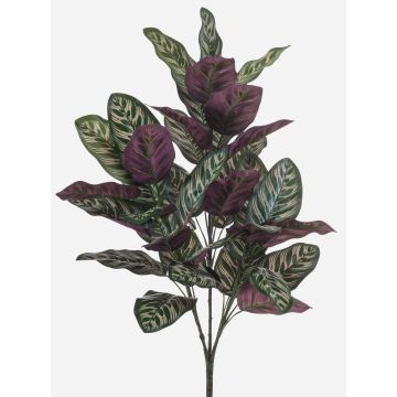 Pianta artificiale Calathea makoyana TROGAR su bastone, verde-viola, 70 cm