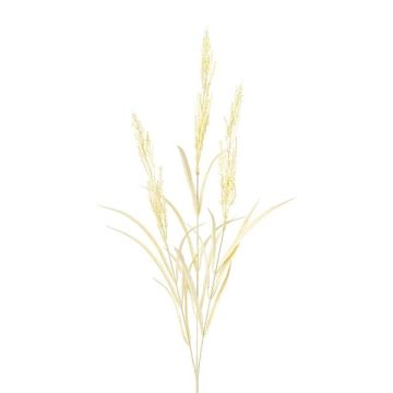Ramo decorativo di canna BUTINA con pannocchie, beige, 85 cm