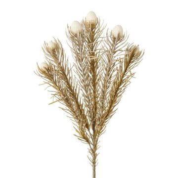 Ramo decorativo con spilli protea KROLI, crema-marrone, 50 cm