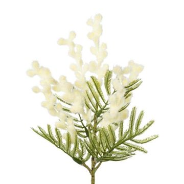 Ramo decorativo di mimosa KROVEN, bianco, 40 cm