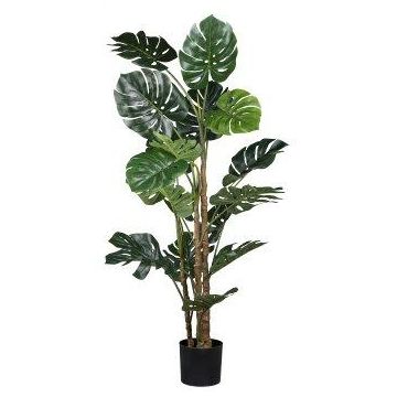 Filodendro Monstera Deliciosa ZARUM artificiale, 160 cm