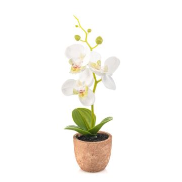 Orchidea artificiale Phalaenopsis LEONISA in vaso di terracotta, bianca, 20 cm
