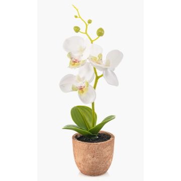 Orchidea artificiale Phalaenopsis LEONISA in vaso di terracotta, bianca, 20 cm