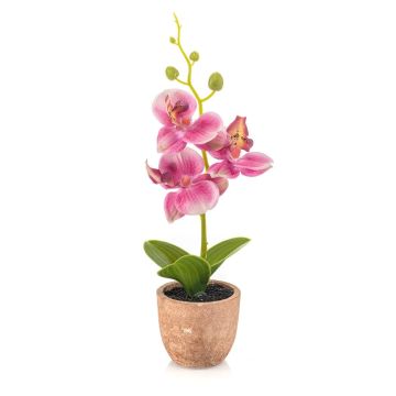 Orchidea artificiale Phalaenopsis LEONISA in vaso di terracotta, rosa, 20 cm Orchidea artificiale Phalaenopsis LEONISA in vaso di terracotta, rosa, 20 cm