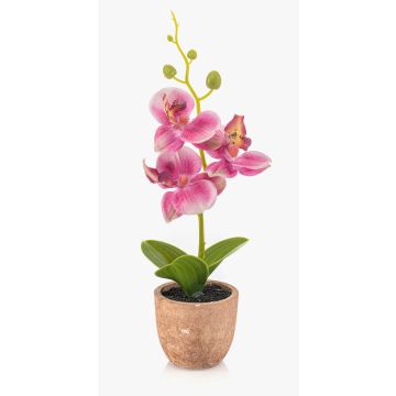 Orchidea artificiale Phalaenopsis LEONISA in vaso di terracotta, rosa, 20 cm