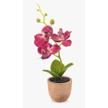 Orchidea artificiale Phalaenopsis LEONISA in vaso di terracotta, fucsia, 20 cm