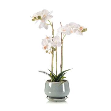 Orchidea artificiale Phalaenopsis JOLANA in vaso di ceramica, bianca, 45 cm