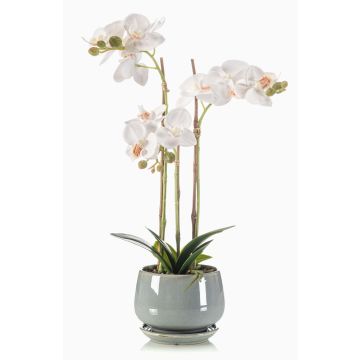 Orchidea artificiale Phalaenopsis JOLANA in vaso di ceramica, bianca, 45cm Orchidea artificiale Phalaenopsis JOLANA in vaso di ceramica, bianca, 45cm