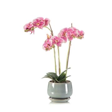 Orchidea artificiale Phalaenopsis JOLANA in vaso di ceramica, rosa, 45 cm Orchidea artificiale Phalaenopsis JOLANA in vaso di ceramica, rosa, 45 cm