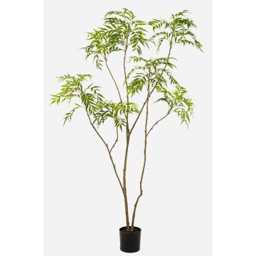 Albero artificiale Mahonie KLEANA, tronchi artificiali, verde, 210 cm Albero artificiale Mahonie KLEANA, tronchi artificiali, verde, 210 cm