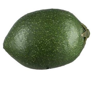 Frutta decorativa lime POLASY, verde scuro, 4,5 cm, Ø 3,5 cm