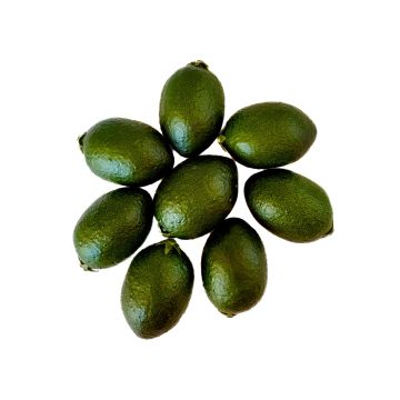 Frutta decorativa 8x Limequat POLASY, verde scuro, 4,5cm, Ø2,8-3,2cm