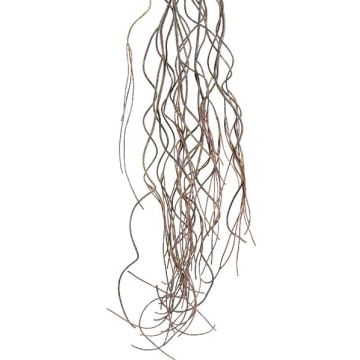 Ramo artificiale salice contorto MOVINA, pendente, marrone scuro, 170cm Ramo artificiale salice contorto MOVINA, pendente, marrone scuro, 170cm