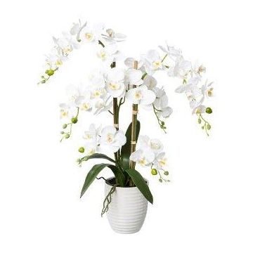 Orchidea Phalaenopsis artificiale LUKREN in vaso di ceramica, radici, bianca, 65 cm