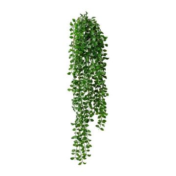Decorazione da appendere Columnea KOLHIN, bastoncino, verde, 85 cm