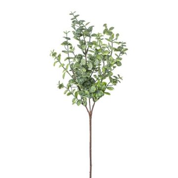 Ramo artificiale eucalipto PRAVEN, verde, 45cm