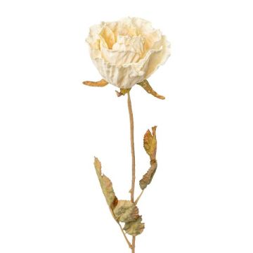 Fiore decorativo rosa PANSOK, effetto secco, crema, 55 cm Fiore decorativo rosa PANSOK, effetto secco, crema, 55 cm