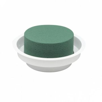 OASIS® Ideal Spugna per fiori freschi cilindrica in contenitore di plastica, verde-bianco, 5 cm, Ø 12 cm OASIS® Ideal Spugna per fiori freschi cilindrica in contenitore di plastica, verde-bianco, 5 cm, Ø 12 cm