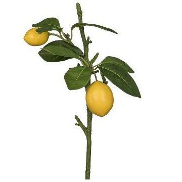 Ramo artificiale di limoni ADELAIDA con frutti, giallo, 35 cm