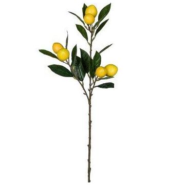 Ramo artificiale di limoni ADRIANNA con frutti, giallo, 70 cm