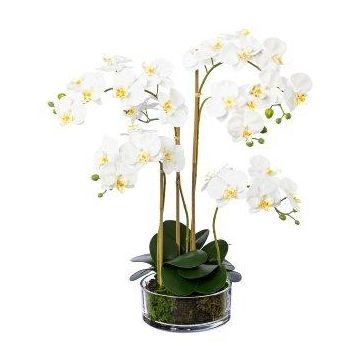 Orchidea artificiale Phalaenopsis MARFELA in vaso di vetro, bianca, 50cm Orchidea artificiale Phalaenopsis MARFELA in vaso di vetro, bianca, 50cm